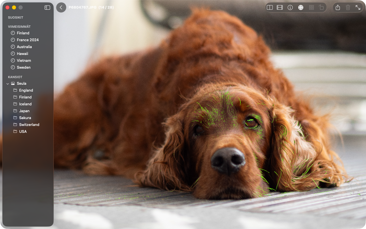 A photo at 100% with green focus peaking highlighting the in-focus details.