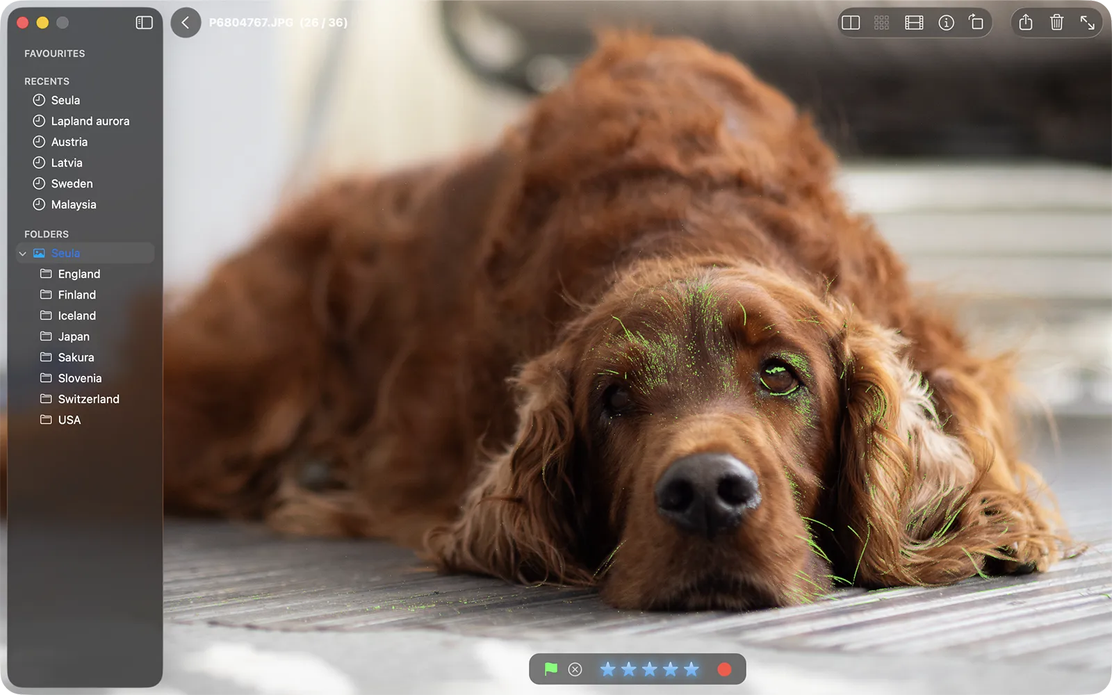 A photo at 100% with green focus peaking highlighting the in-focus details.