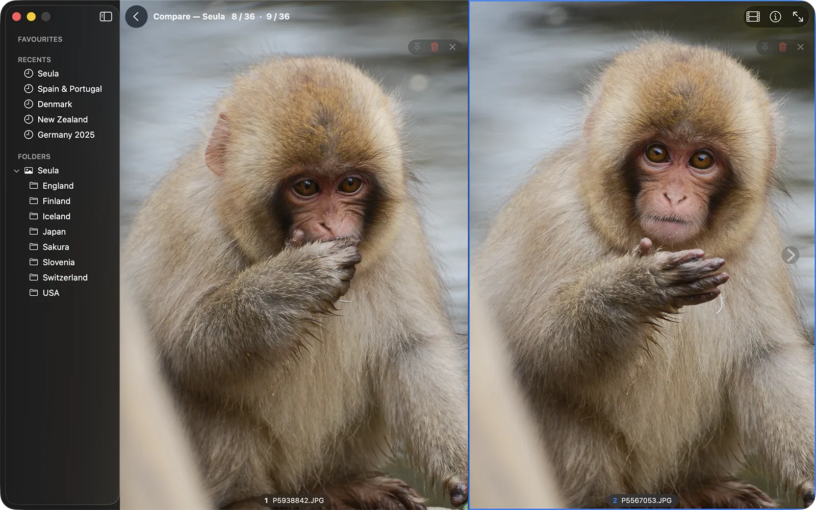Compare mode showing two similar frames side by side, one marked as reference.